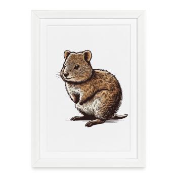 Quokka - Framed poster (27 × 37 cm) - white - Front