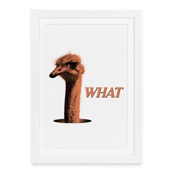 What?! – Grumbling Bouquet - Framed poster (27 × 37 cm) - white - Front