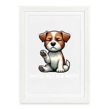 Parler à la patte Jack Russel terrier Jackie - Affiche encadrée (27 × 37 cm) - blanc - Devant