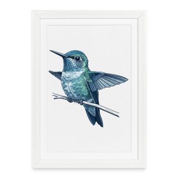 Colibri en reflet aquarelle - Affiche encadrée (27 × 37 cm) - blanc - Devant