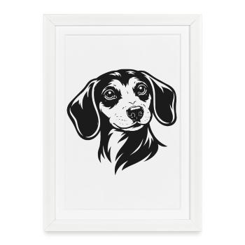 Portrait du teckel - Affiche encadrée (27 × 37 cm) - blanc - Devant