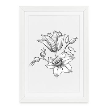 Vrille de fleur - Affiche encadrée (27 × 37 cm) - blanc - Devant