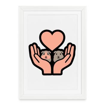 Mains de cochon d’Inde nourrissant un rongeur domestique. - Affiche encadrée (27 × 37 cm) - blanc - Devant