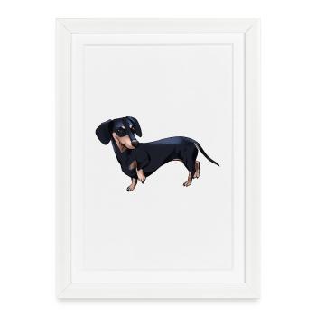 Teckel comique - Affiche encadrée (27 × 37 cm) - blanc - Devant