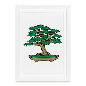bonsai tree leaves branches small tree - Framed poster (27 × 37 cm) - white - Front
