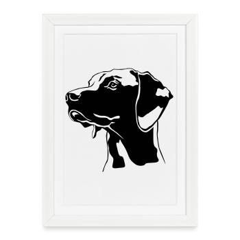 Magyar Vizsla head - Framed poster (27 × 37 cm) - white - Front