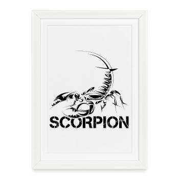 Scorpion Symbole Scorpion Icône du logo croquis - Affiche encadrée (27 × 37 cm) - blanc - Devant
