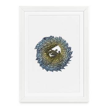 Armadillo Lizzard - Affiche encadrée (27 × 37 cm) - blanc - Devant