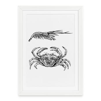 Crabe et crevettes - Shellfish Power - Affiche encadrée (27 × 37 cm) - blanc - Devant