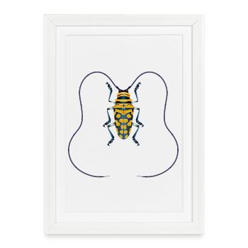 Sternotomis bohemani Coléoptère Espèce Insecte Jaune Noir - Affiche encadrée (27 × 37 cm) - blanc - Devant