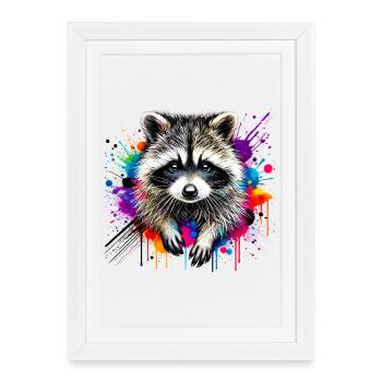 Raton laveur - Affiche encadrée (27 × 37 cm) - blanc - Devant