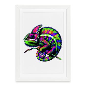 Chameleon - Framed poster (27 × 37 cm) - white - Front