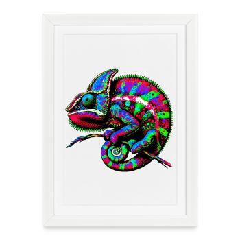 Chameleon - Framed poster (27 × 37 cm) - white - Front