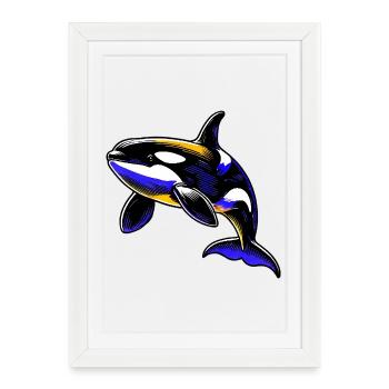 Killer whale - Framed poster (27 × 37 cm) - white - Front