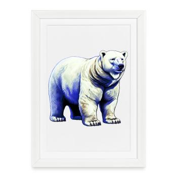 White polar bear - Framed poster (27 × 37 cm) - white - Front