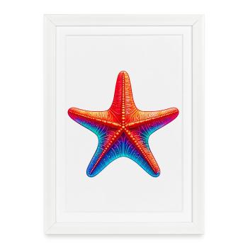 Étoile de mer - Affiche encadrée (27 × 37 cm) - blanc - Devant