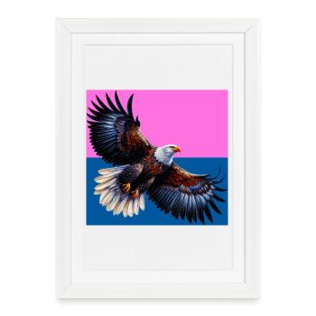aigle - Affiche encadrée (27 × 37 cm) - blanc - Devant