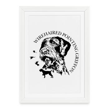 Chiens de chasse griffons pointeurs à poils durs Wilsigns - Affiche encadrée (27 × 37 cm) - blanc - Devant