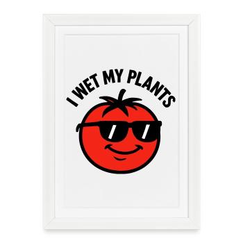 Je Mouille Mes Plantes Tomate Jardinage - Affiche encadrée (27 × 37 cm) - blanc - Devant