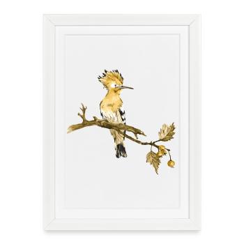 Colorful bird - Framed poster (27 × 37 cm) - white - Front