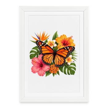 Fleur tropicale du papillon monarque - Affiche encadrée (27 × 37 cm) - blanc - Devant