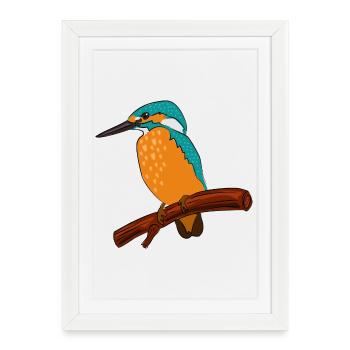 bird - Framed poster (27 × 37 cm) - white - Front