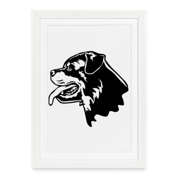 Rottweiler Kopf - Affiche encadrée (27 × 37 cm) - blanc - Devant