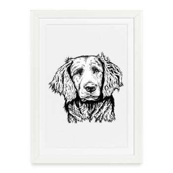 Portrait de caille - Affiche encadrée (27 × 37 cm) - blanc - Devant