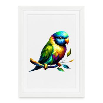 Rainbow Parakeet (01) - Framed poster (27 × 37 cm) - white - Front