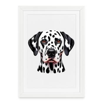 Chien dalmatien - Affiche encadrée (27 × 37 cm) - blanc - Devant