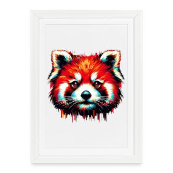 Red panda - Framed poster (27 × 37 cm) - white - Front