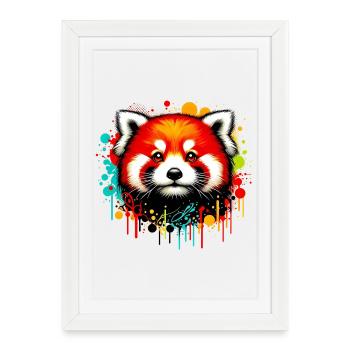 Petit panda - Affiche encadrée (27 × 37 cm) - blanc - Devant
