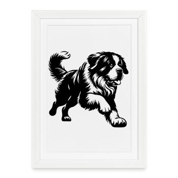 Saint-bernard - Affiche encadrée (27 × 37 cm) - blanc - Devant