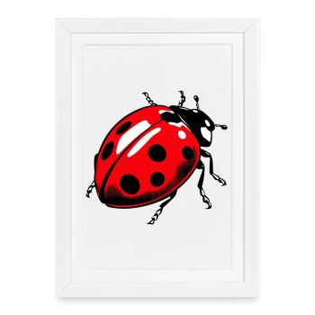 Ladybird - Framed poster (27 × 37 cm) - white - Front