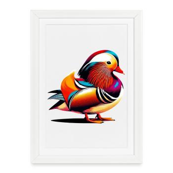 Canard mandarin - Affiche encadrée (27 × 37 cm) - blanc - Devant