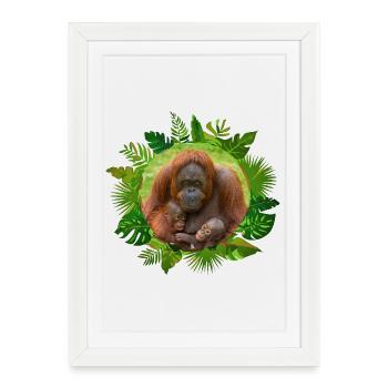 Lien familial avec les orangs-outans - Affiche encadrée (27 × 37 cm) - blanc - Devant