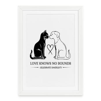 Chat et chien : l’amour ne connaît pas de frontières - Affiche encadrée (27 × 37 cm) - blanc - Devant