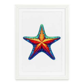 Étoile de mer - Affiche encadrée (27 × 37 cm) - blanc - Devant