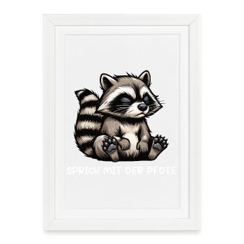 Parlez à la patte Raton laveur Raton laveur Raton laveur - Affiche encadrée (27 × 37 cm) - blanc - Devant