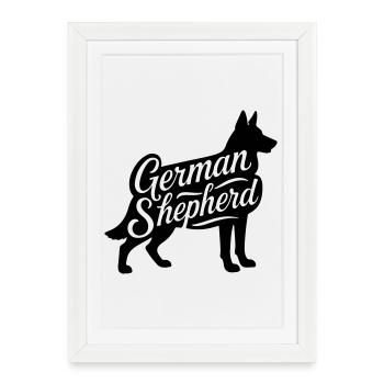 Berger allemand Berger allemand Berger allemand - Affiche encadrée (27 × 37 cm) - blanc - Devant