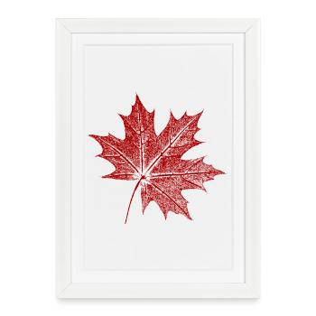 Maple leaf - Framed poster (27 × 37 cm) - white - Front