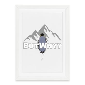 Mais pourquoi? Motivation du mème du pingouin - Affiche encadrée (27 × 37 cm) - blanc - Devant