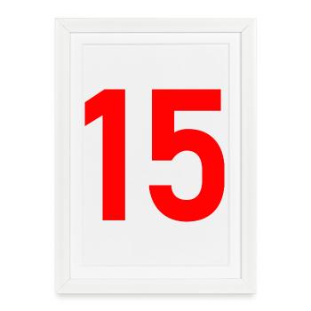 15. 15 ANS. 15e ANNIVERSAIRE. ANNIVERSAIRE 15 ANS. - Affiche encadrée (27 × 37 cm) - blanc - Devant