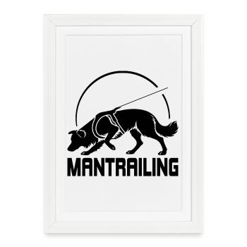 Chien de sport Border Collie Chasseur de Sport Sauvets - Affiche encadrée (27 × 37 cm) - blanc - Devant