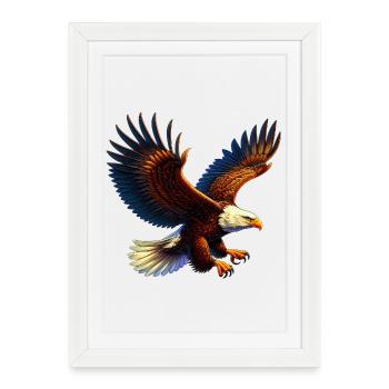 aigle - Affiche encadrée (27 × 37 cm) - blanc - Devant