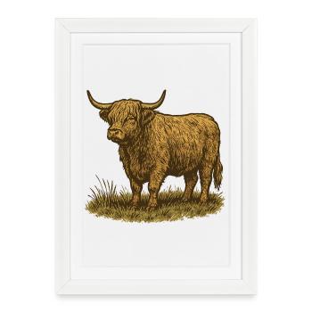 Bétail des Highlands - Affiche encadrée (27 × 37 cm) - blanc - Devant