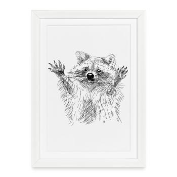 Raton laveur - Affiche encadrée (27 × 37 cm) - blanc - Devant