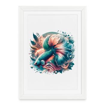 Betta splendens, poisson coloré - Affiche encadrée (27 × 37 cm) - blanc - Devant