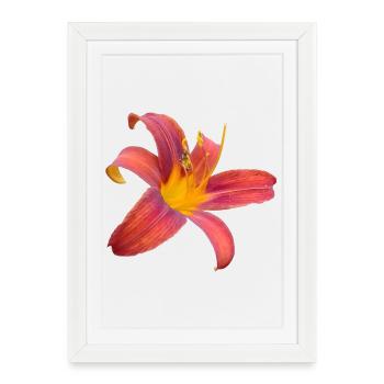 Lilienfunken Color Explosion - Framed poster (27 × 37 cm) - white - Front