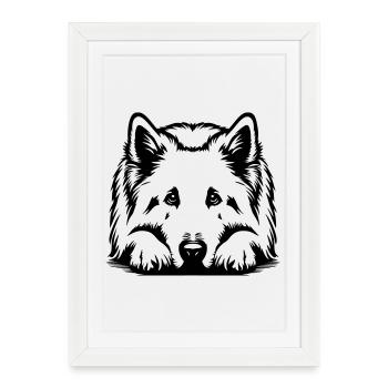 Swiss Shepherd - Framed poster (27 × 37 cm) - white - Front
